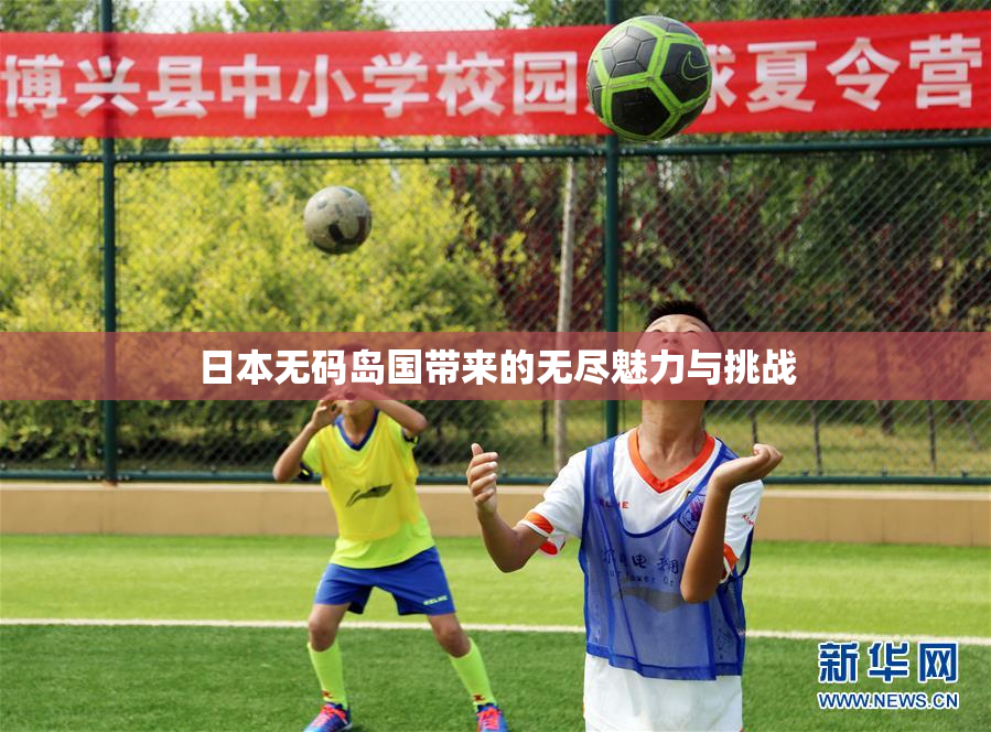 日本无码岛国带来的无尽魅力与挑战