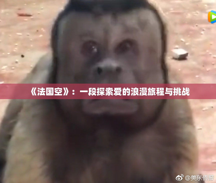 《法国空》：一段探索爱的浪漫旅程与挑战