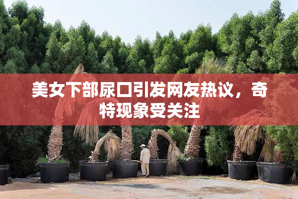 美女下部尿囗引发网友热议，奇特现象受关注