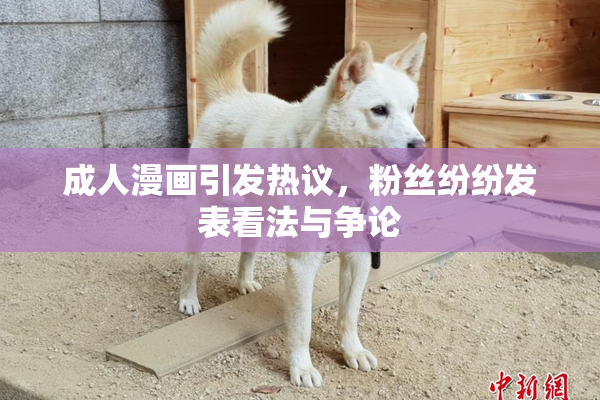 成人漫画引发热议，粉丝纷纷发表看法与争论