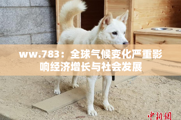 ww.783：全球气候变化严重影响经济增长与社会发展