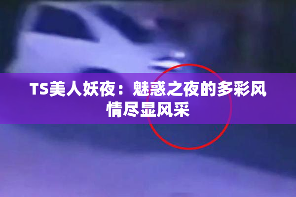TS美人妖夜：魅惑之夜的多彩风情尽显风采