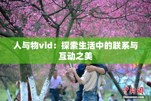 人与物vid：探索生活中的联系与互动之美