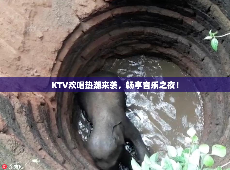 KTV欢唱热潮来袭，畅享音乐之夜！