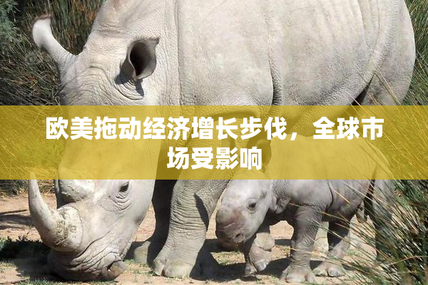 欧美拖动经济增长步伐，全球市场受影响