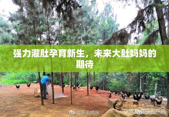 强力灌肚孕育新生，未来大肚妈妈的期待
