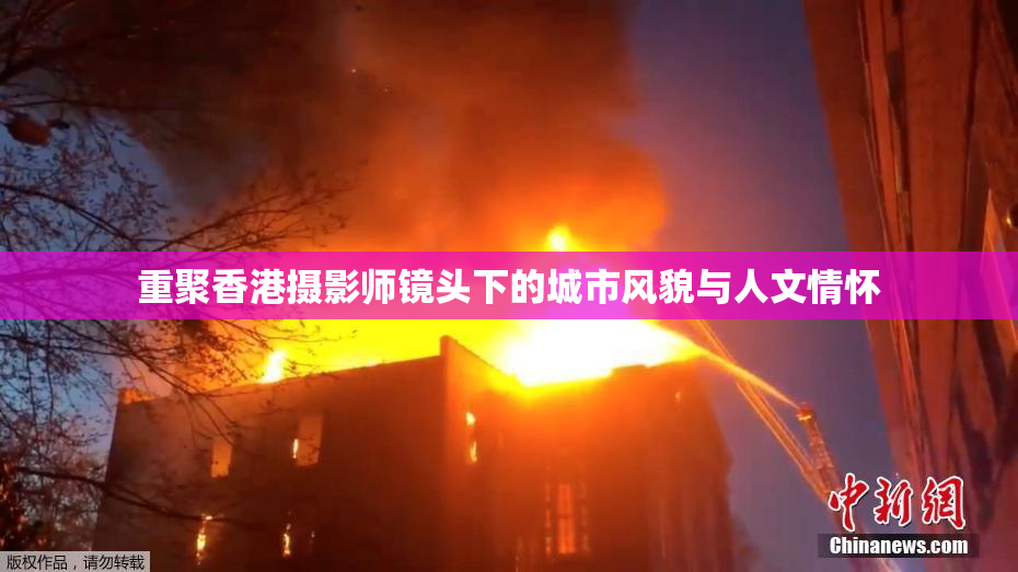 重聚香港摄影师镜头下的城市风貌与人文情怀