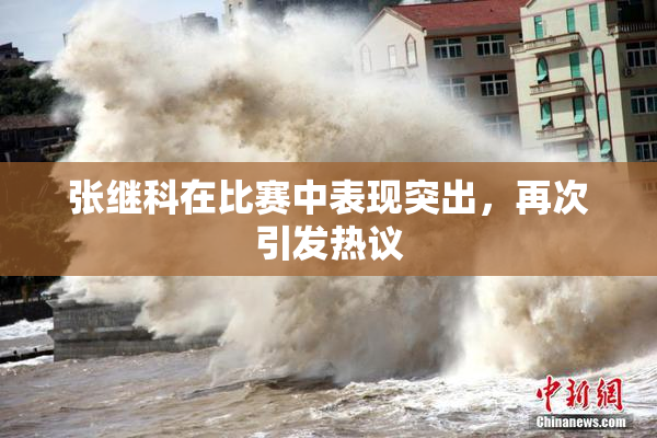 张继科在比赛中表现突出，再次引发热议