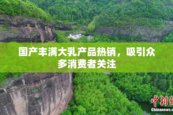 国产丰满大乳产品热销，吸引众多消费者关注