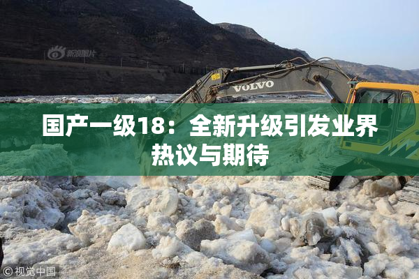 国产一级18：全新升级引发业界热议与期待