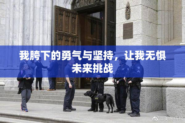 我胯下的勇气与坚持，让我无惧未来挑战