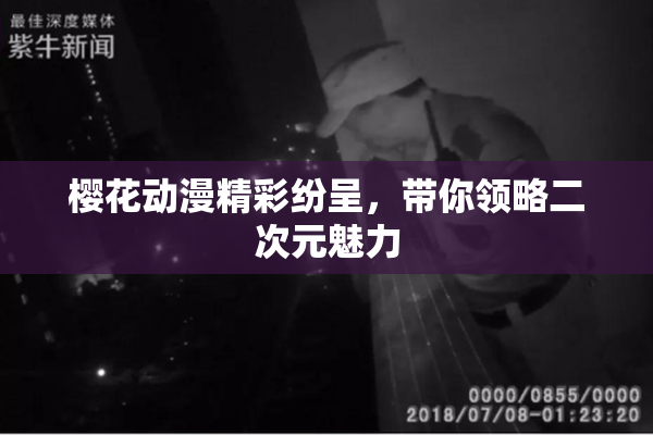 樱花动漫精彩纷呈，带你领略二次元魅力