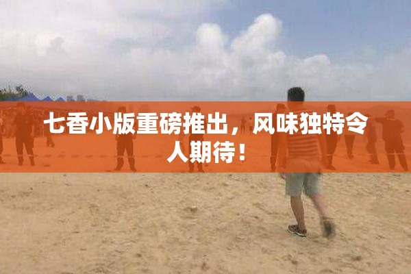 七香小版重磅推出，风味独特令人期待！
