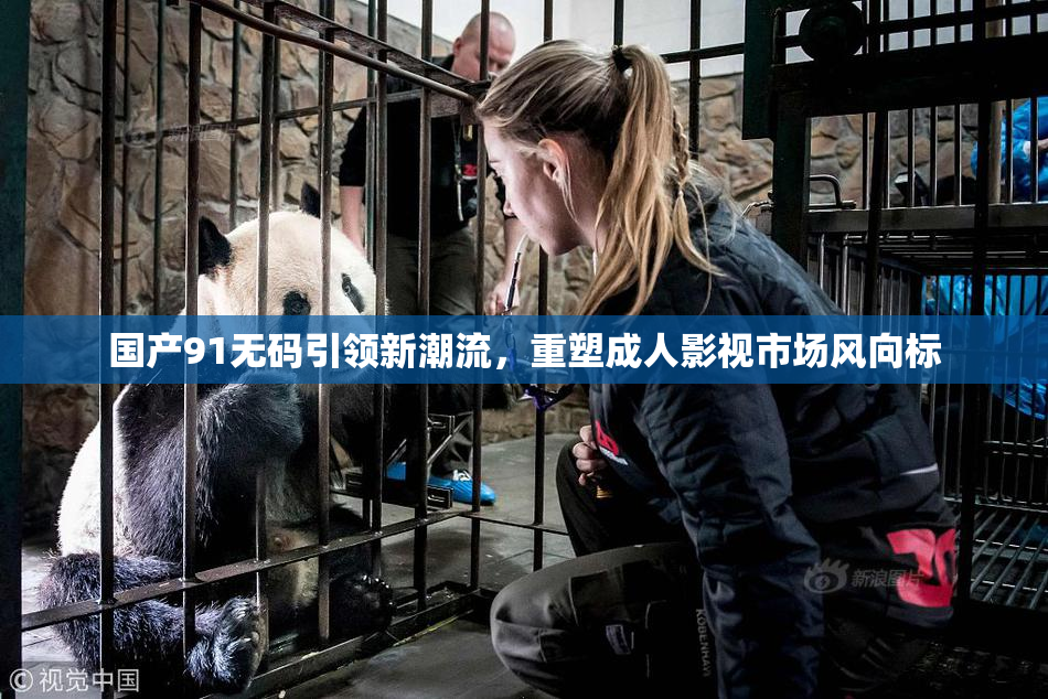 国产91无码引领新潮流，重塑成人影视市场风向标