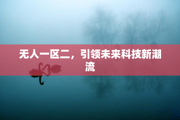 无人一区二，引领未来科技新潮流