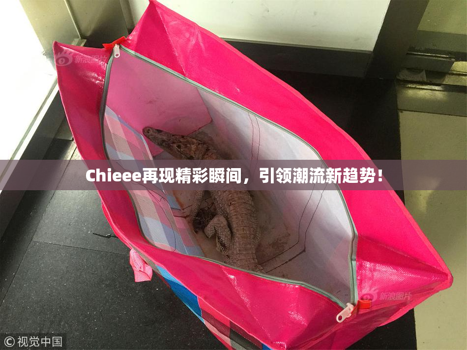 Chieee再现精彩瞬间，引领潮流新趋势！