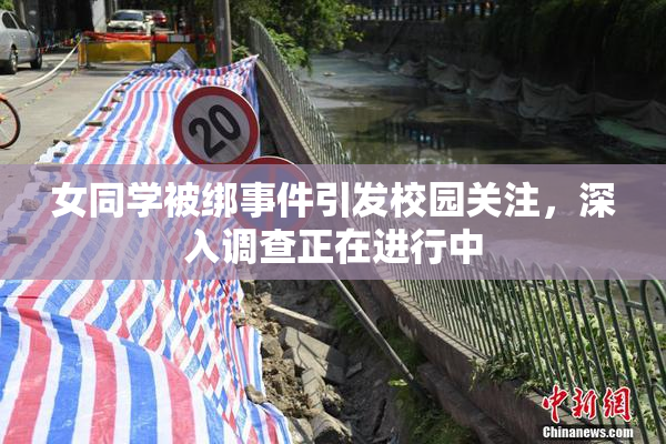 女同学被绑事件引发校园关注，深入调查正在进行中