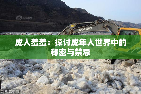 成人羞羞：探讨成年人世界中的秘密与禁忌