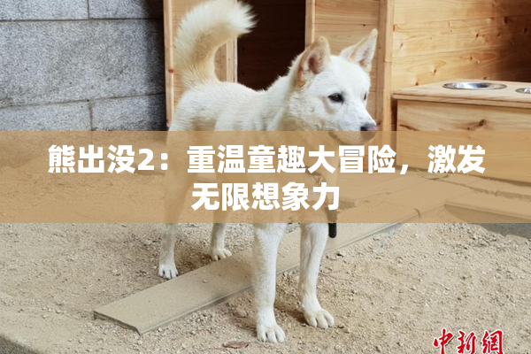 熊出没2：重温童趣大冒险，激发无限想象力