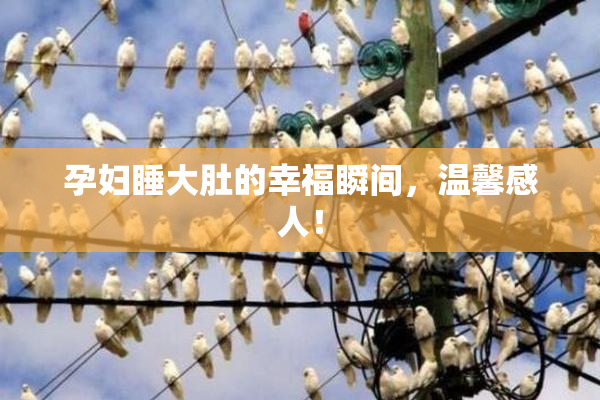 孕妇睡大肚的幸福瞬间，温馨感人！