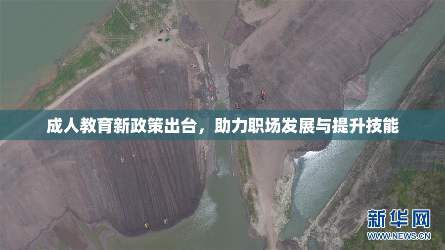 成人教育新政策出台，助力职场发展与提升技能