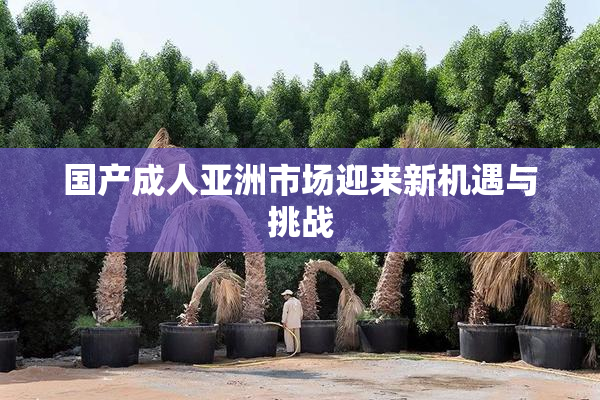 国产成人亚洲市场迎来新机遇与挑战
