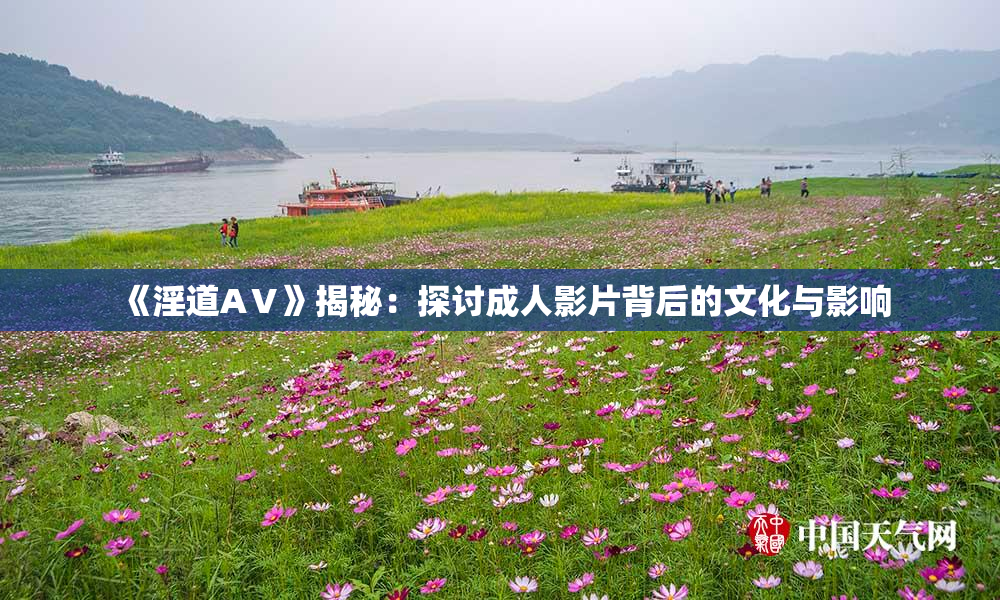 《淫道AⅤ》揭秘：探讨成人影片背后的文化与影响