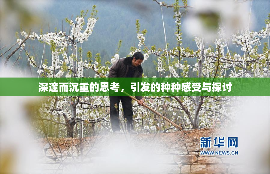 深邃而沉重的思考，引发的种种感受与探讨