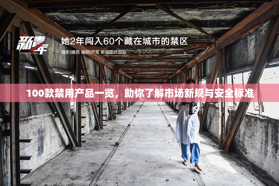 100款禁用产品一览，助你了解市场新规与安全标准