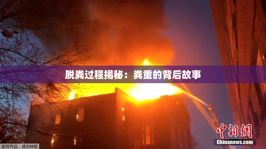 脱粪过程揭秘：粪重的背后故事