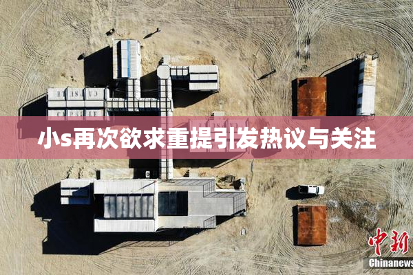 小s再次欲求重提引发热议与关注