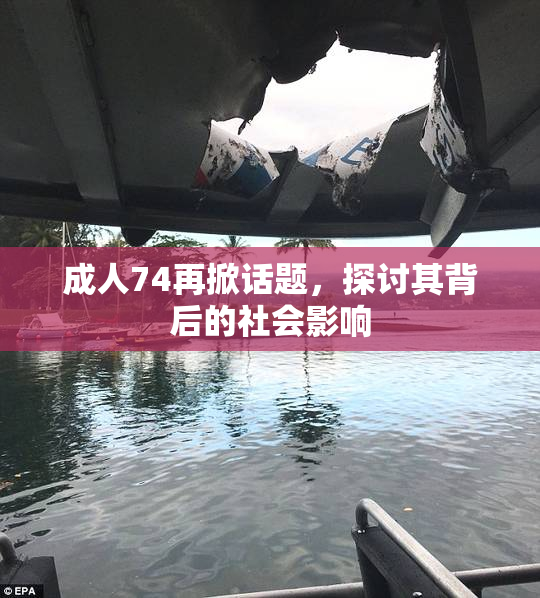 成人74再掀话题，探讨其背后的社会影响