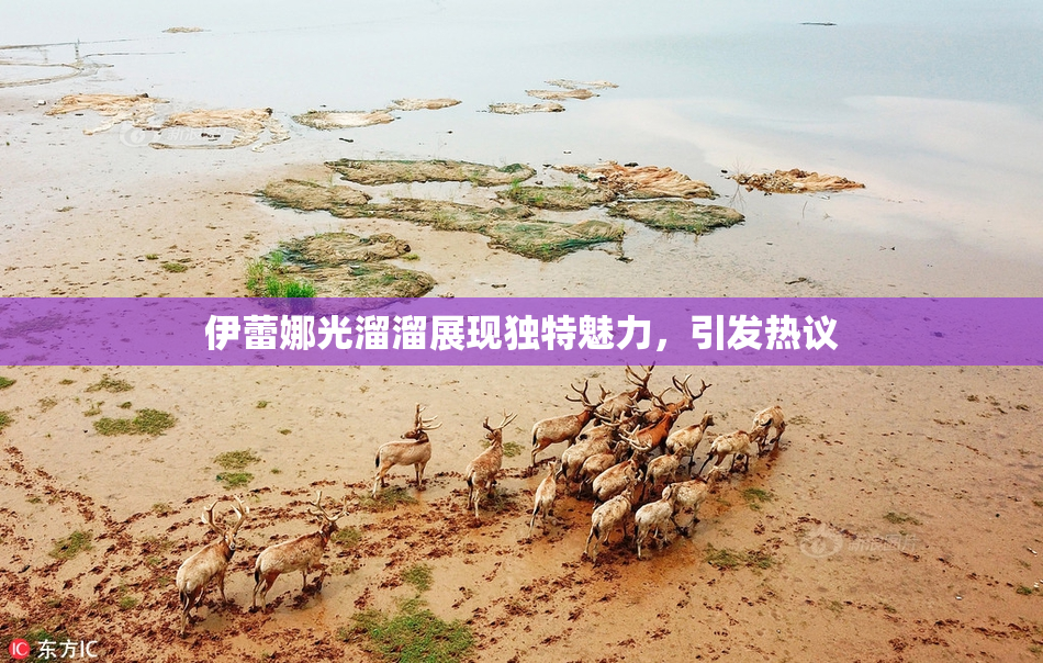 伊蕾娜光溜溜展现独特魅力，引发热议