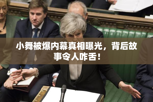 小舞被爆内幕真相曝光，背后故事令人咋舌！