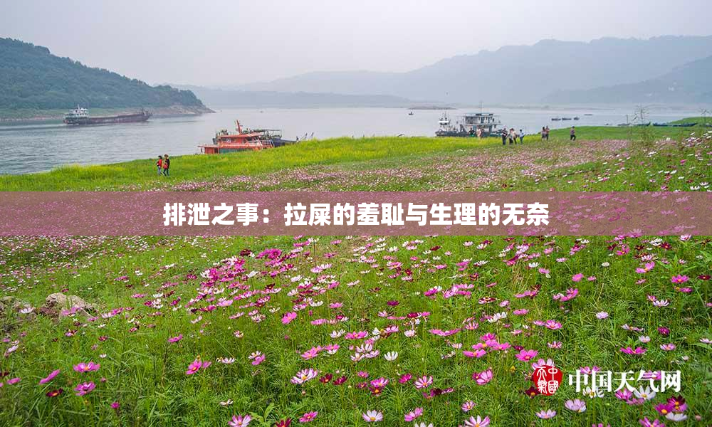 排泄之事：拉屎的羞耻与生理的无奈