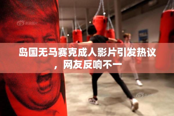 岛国无马赛克成人影片引发热议，网友反响不一