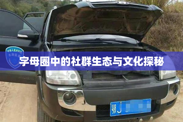 字母圈中的社群生态与文化探秘