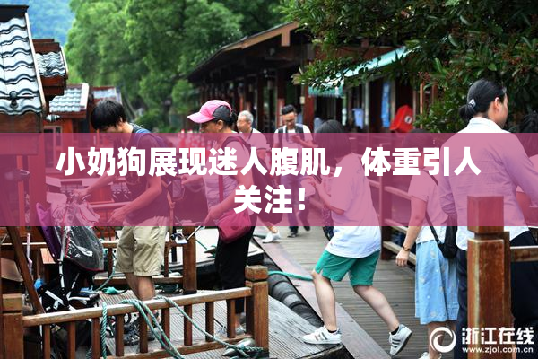 小奶狗展现迷人腹肌，体重引人关注！
