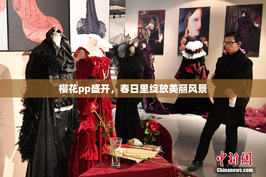樱花pp盛开，春日里绽放美丽风景