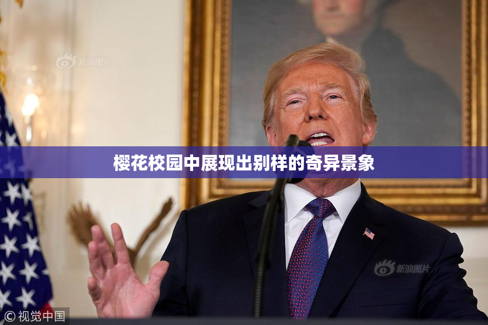 樱花校园中展现出别样的奇异景象