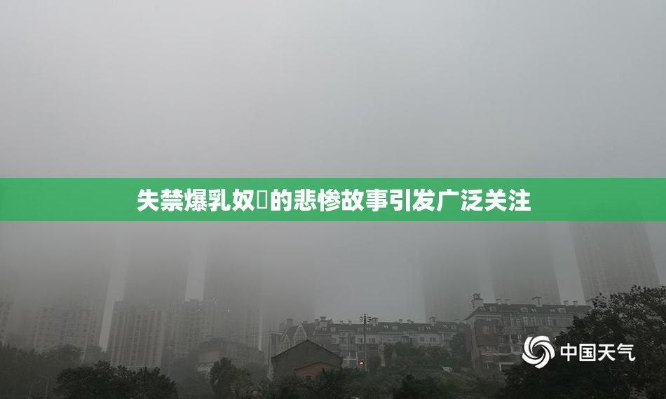 失禁爆乳奴隷的悲惨故事引发广泛关注