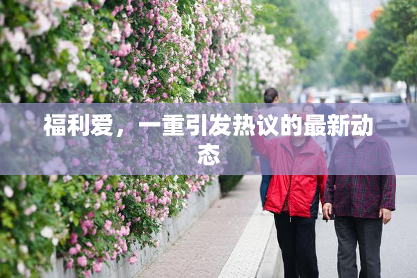 福利爱，一重引发热议的最新动态