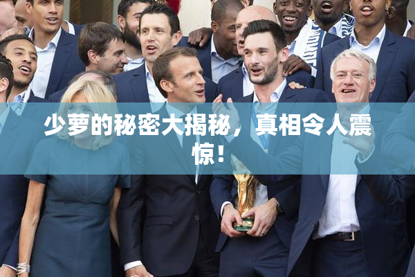 少萝的秘密大揭秘，真相令人震惊！