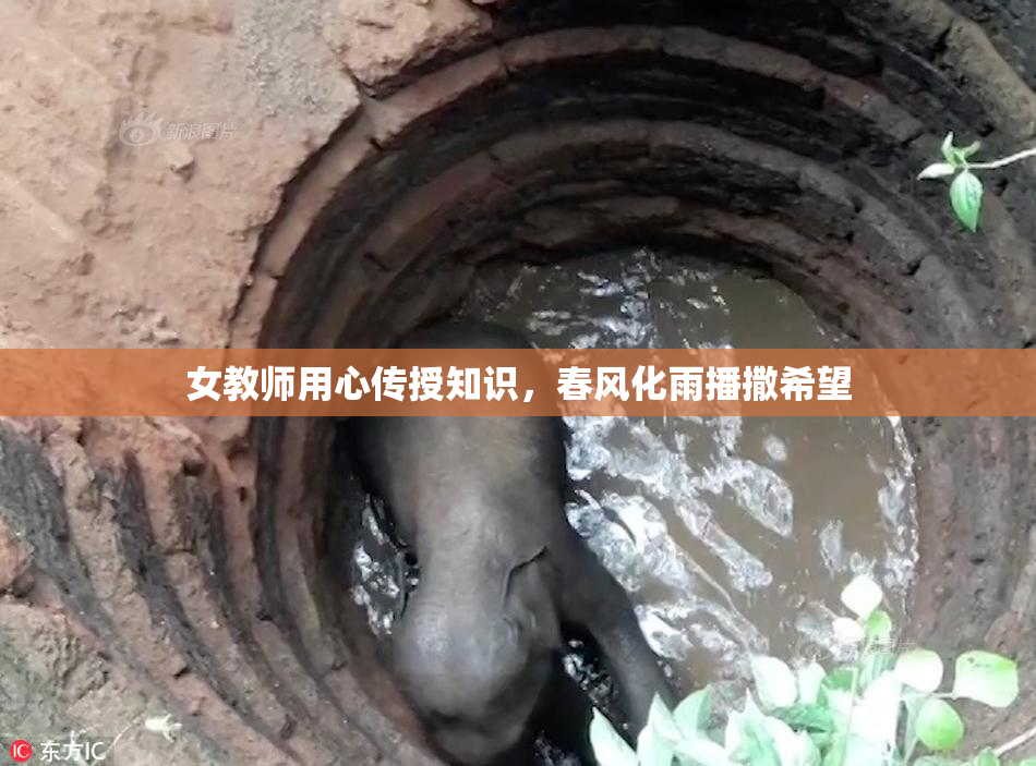 女教师用心传授知识，春风化雨播撒希望