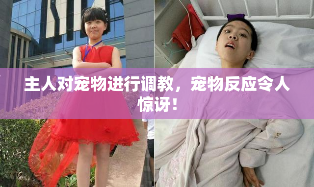 主人对宠物进行调教，宠物反应令人惊讶！