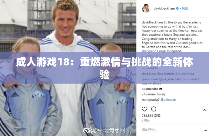 成人游戏18：重燃激情与挑战的全新体验