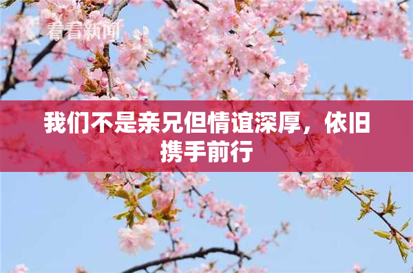 我们不是亲兄但情谊深厚，依旧携手前行