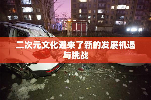 二次元文化迎来了新的发展机遇与挑战