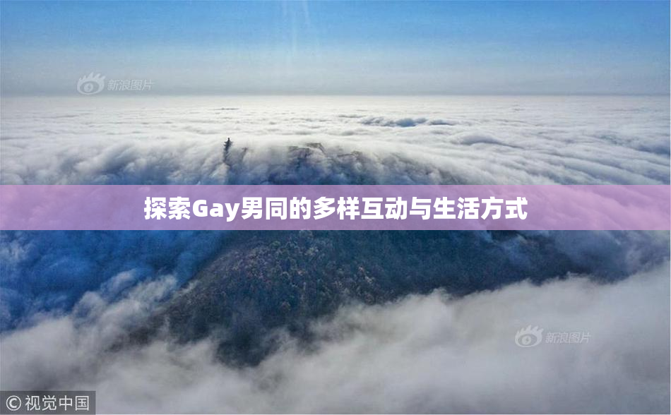 探索Gay男同的多样互动与生活方式
