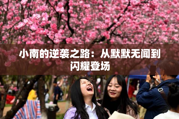 小南的逆袭之路：从默默无闻到闪耀登场